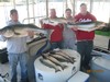 (09/14/2014) - Nice Striped Bass